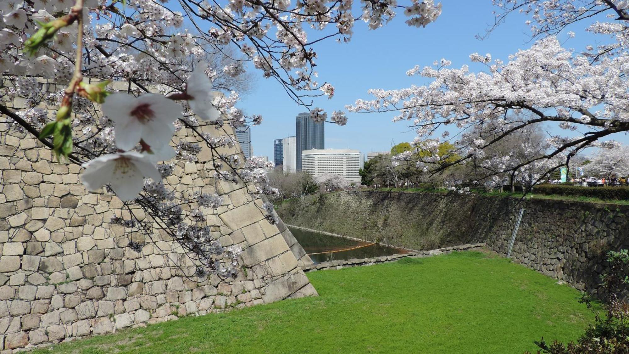 Hotel New Otani Осака Екстериор снимка Sakura at the castle